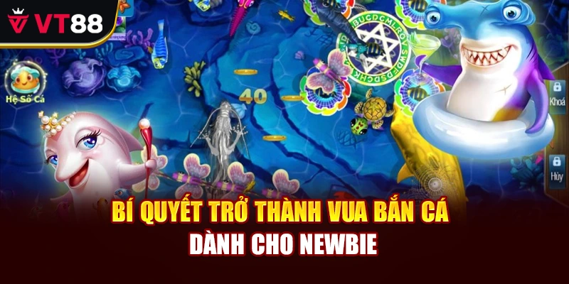 Bí quyết trở thành Vua Bắn Cá dành cho newbie