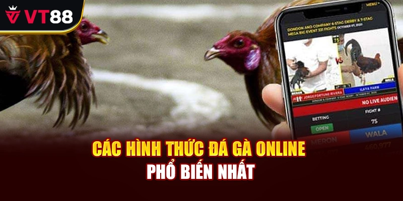 Các hình thức đá gà online phổ biến nhất