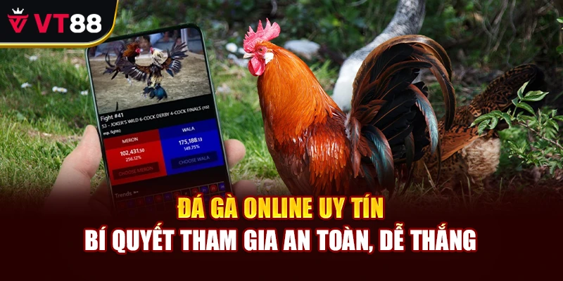 Đá Gà Online Uy Tín – Bí Quyết Tham Gia An Toàn, Dễ Thắng
