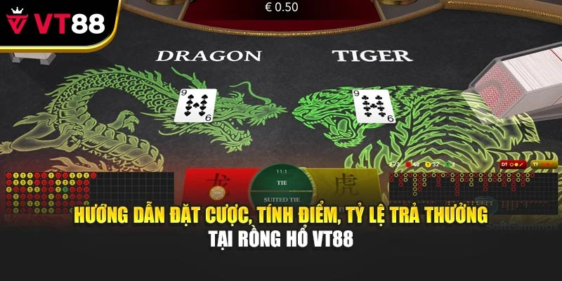 Theo dõi cầu, quản lý vốn, chiến thuật từ cao thủ tại Rồng Hổ VT88