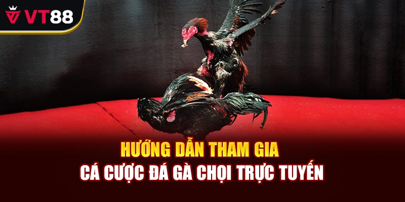 Hướng dẫn tham gia cá cược đá gà chọi trực tuyến