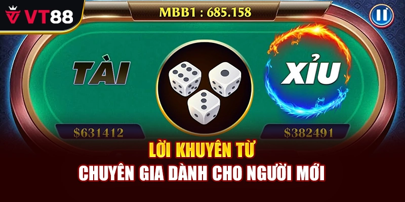 Lời khuyên từ chuyên gia dành cho người mới 