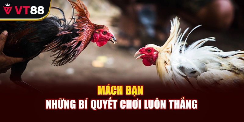 Mách bạn những bí quyết chơi luôn thắng