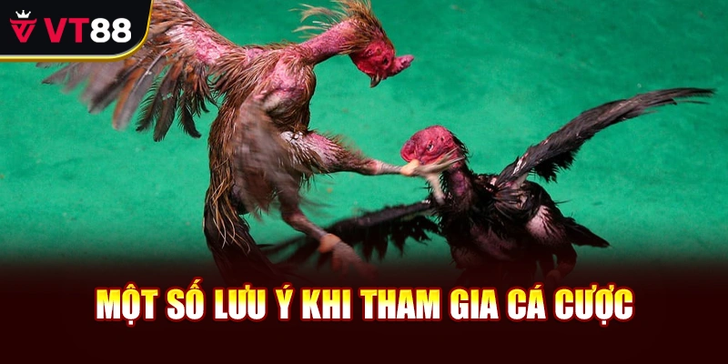 Một số lưu ý khi tham gia cá cược