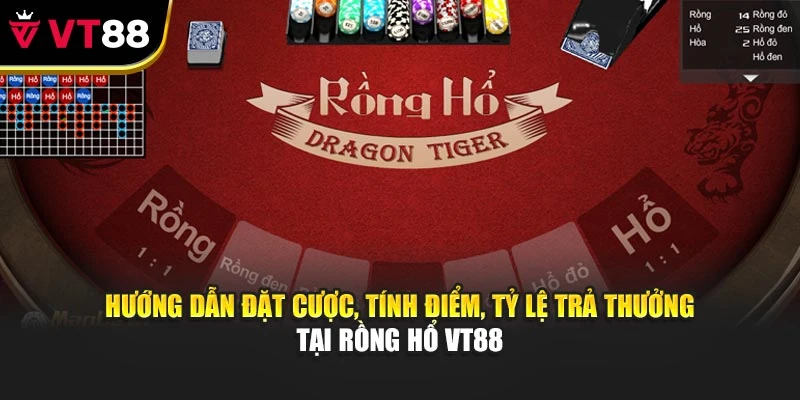Hướng dẫn đặt cược, tính điểm, tỷ lệ trả thưởng tại Rồng Hổ VT88