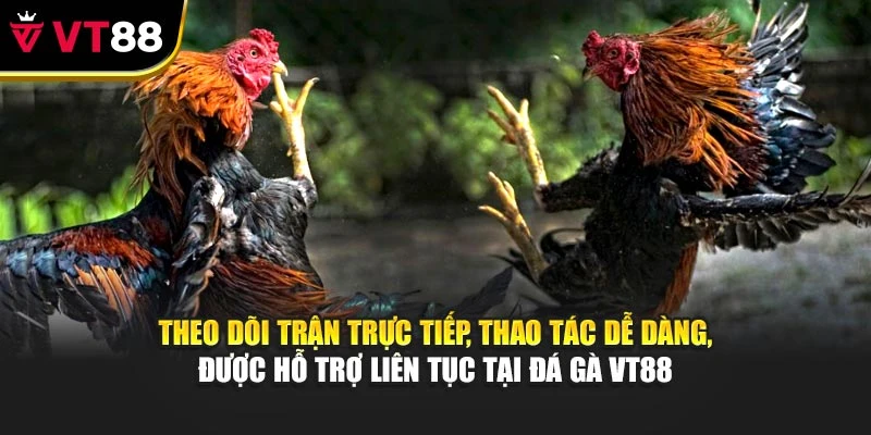 Theo dõi trận trực tiếp, thao tác dễ dàng, được hỗ trợ liên tục tại đá gà VT88